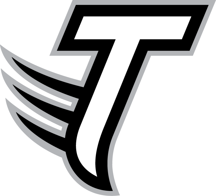 Towson Tigers 2004-Pres Alternate Logo t shirts iron on transfers v2